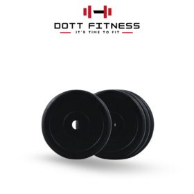 2 kg pair Rubber Plates