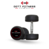 10 kg pair rubber dumbles