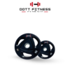 10 kg pair Weight Plates